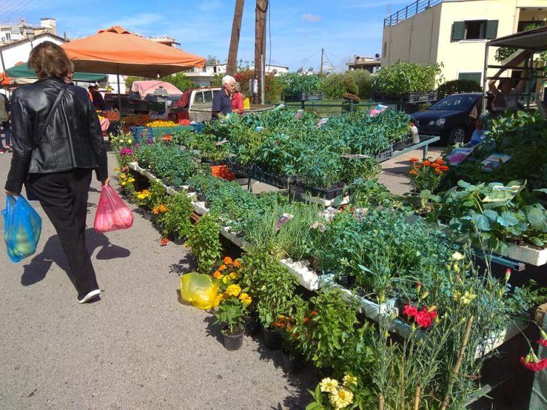 Πύργος: Την Μ. Παρασκευή στην πλατεία Ανδριάρα η λαϊκή αγορά