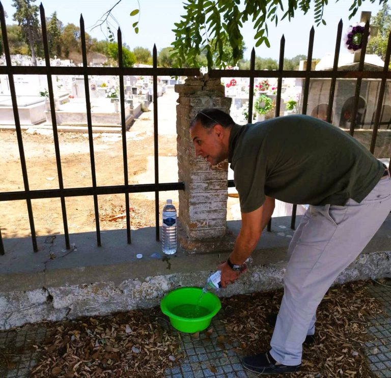 Aμαλιάδα: Μέριμνα από το Δήμο Ήλιδας για τα αδέσποτα που διαβιούν σε συνθήκες καύσωνα