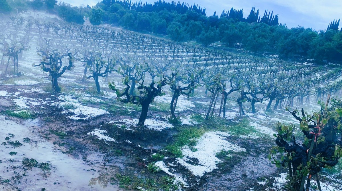 Ηλεία: Μεγάλες καταστροφές σε καρπούζι