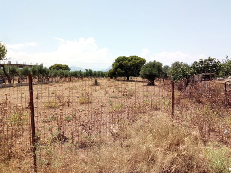 Καθαρισμός οικοπέδων: Παράταση της προθεσμίας μέχρι 15 Ιουνίου 2025