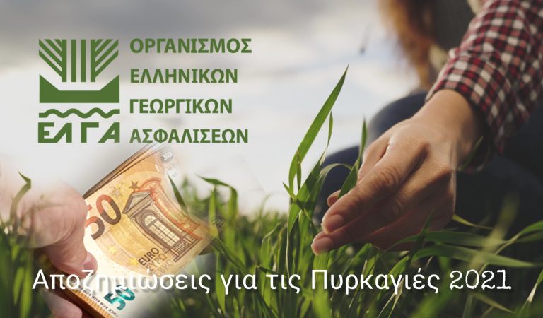 Πυρόπληκτοι Αρχαίας Ολυμπίας (2021): Παράταση έως 31 Μαρτίου για την καταβολή ασφαλιστικών εισφορών