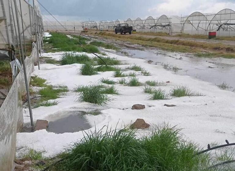 Hλεία: Xαλαζόπτωση κατέστρεψε καλλιέργειες σε Γαστούνη