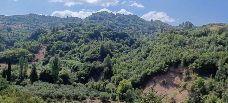 ΥΠΕΝ: Κονδύλια 750 εκατ. ευρώ για την προστασία του δασικού πλούτου