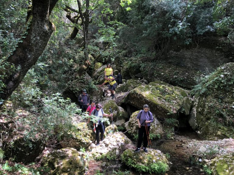 Ηλεία: Πεζοπορώντας στο Φαράγγι των Δρυάδων… μια διαδρομή που τα έχει όλα και μαγεύει! (pics)
