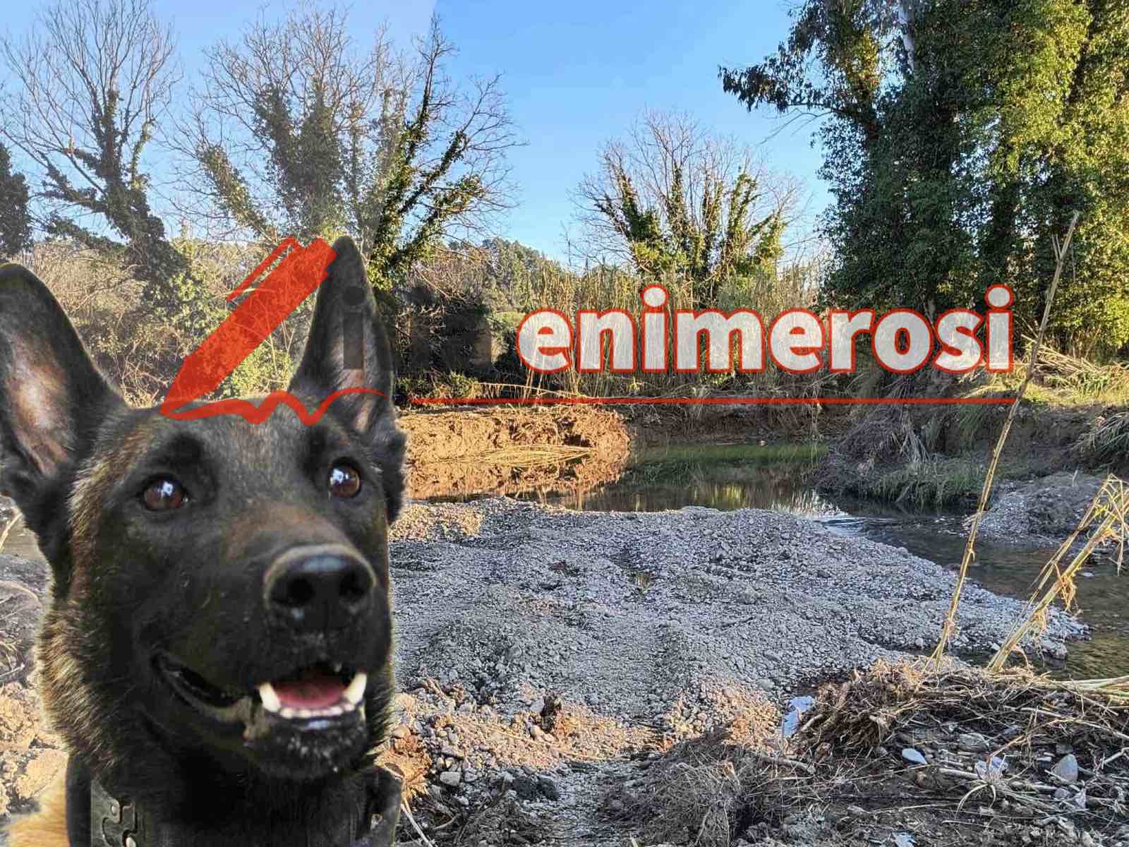 Έρευνες για τον εντοπισμό του Νίκου Αναστόπουλου στο Πλουτοχώρι: Έφυγαν μέχρι… να ξανάρθουν οι εκπαιδευμένοι σκύλοι της Anubis K9P