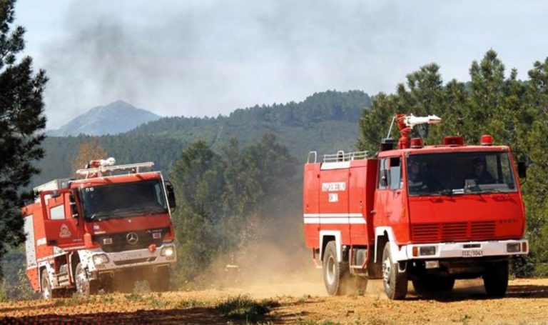 Ζαχάρω: «Στου κουφού τη πόρτα…»… κι άλλο πρόστιμο για πρόκληση πυρκαγιάς στην Καλίδονα
