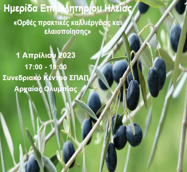 Ημερίδα Επιμελητηρίου Ηλείας: «Ορθές πρακτικές καλλιέργειας και ελαιοποίησης»
