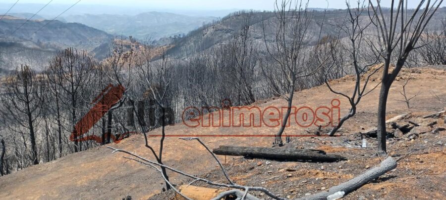 Λέκκας: Kαιρικά φαινόμενα χιλιετίας τα είδαμε δύο φορές σε 3 χρόνια