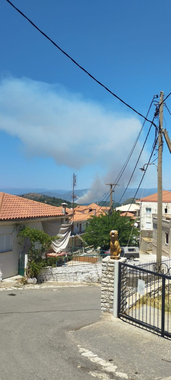 Aρκαδία: Υπό έλεγχο η πυρκαγιά στα Κακουρεικα Γορτυνίας