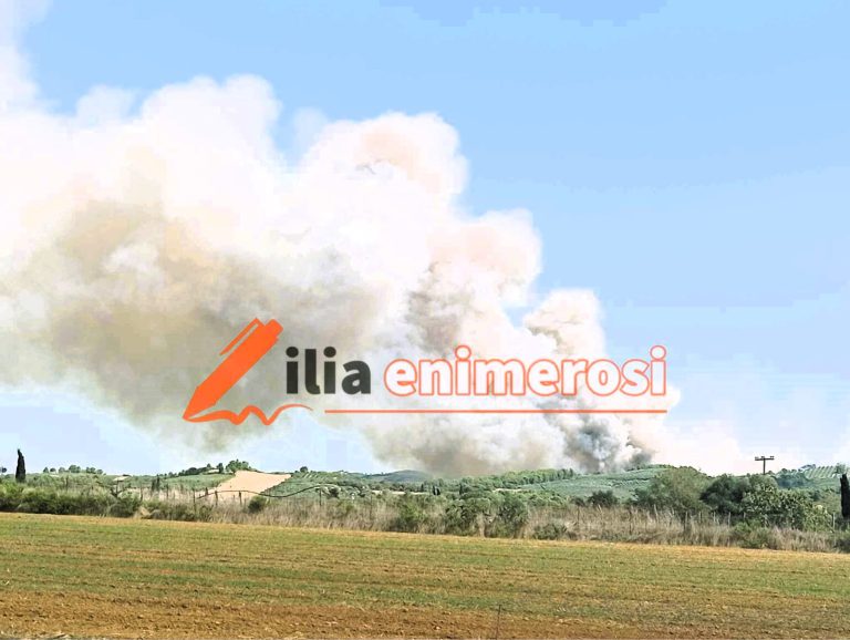 Δήμος Ήλιδας: Kατέθεσε πρόταση ύψους 1.000.000 ευρώ για προμήθεια  μηχανημάτων και οχημάτων Πολιτικής Προστασίας