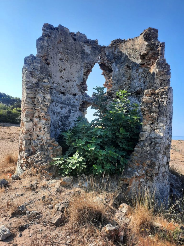 Kαιάφας: Καζάρμα