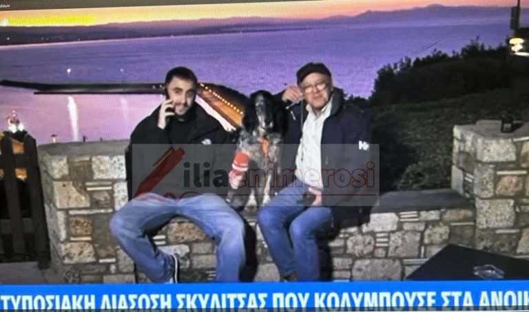 Κατάκολο: «Ζωντανά» στο Mega η σκυλίτσα Μάρε που διασώθηκε ανοιχτά του λιμανιού (video)