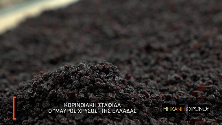 "Μηχανή του Χρόνου": Σταφίδα