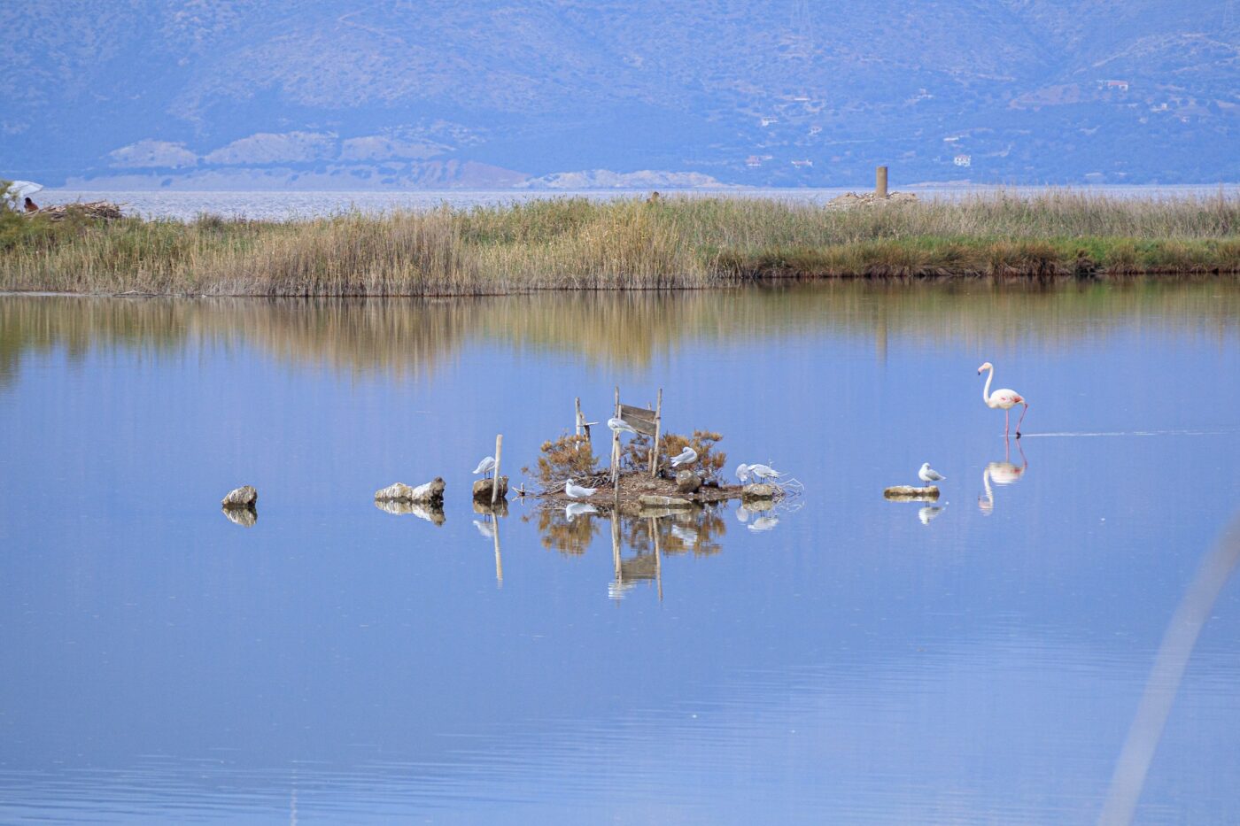 5η Ιουνίου 2024