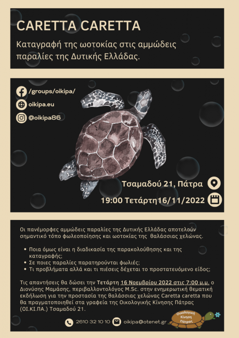 <strong>Caretta caretta: Καταγραφή της ωοτοκίας στις αμμώδεις παραλίες της Δυτικής Ελλάδας</strong>