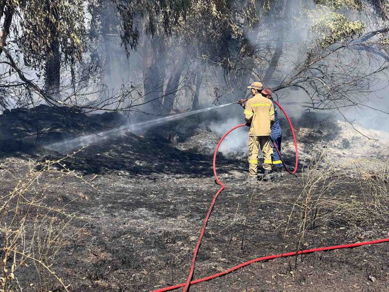 Κυλλήνη: Έφαγε πρόστιμο 1294 ευρώ επειδή άναψε φωτιά χωρίς  μέτρα πυρασφάλειας