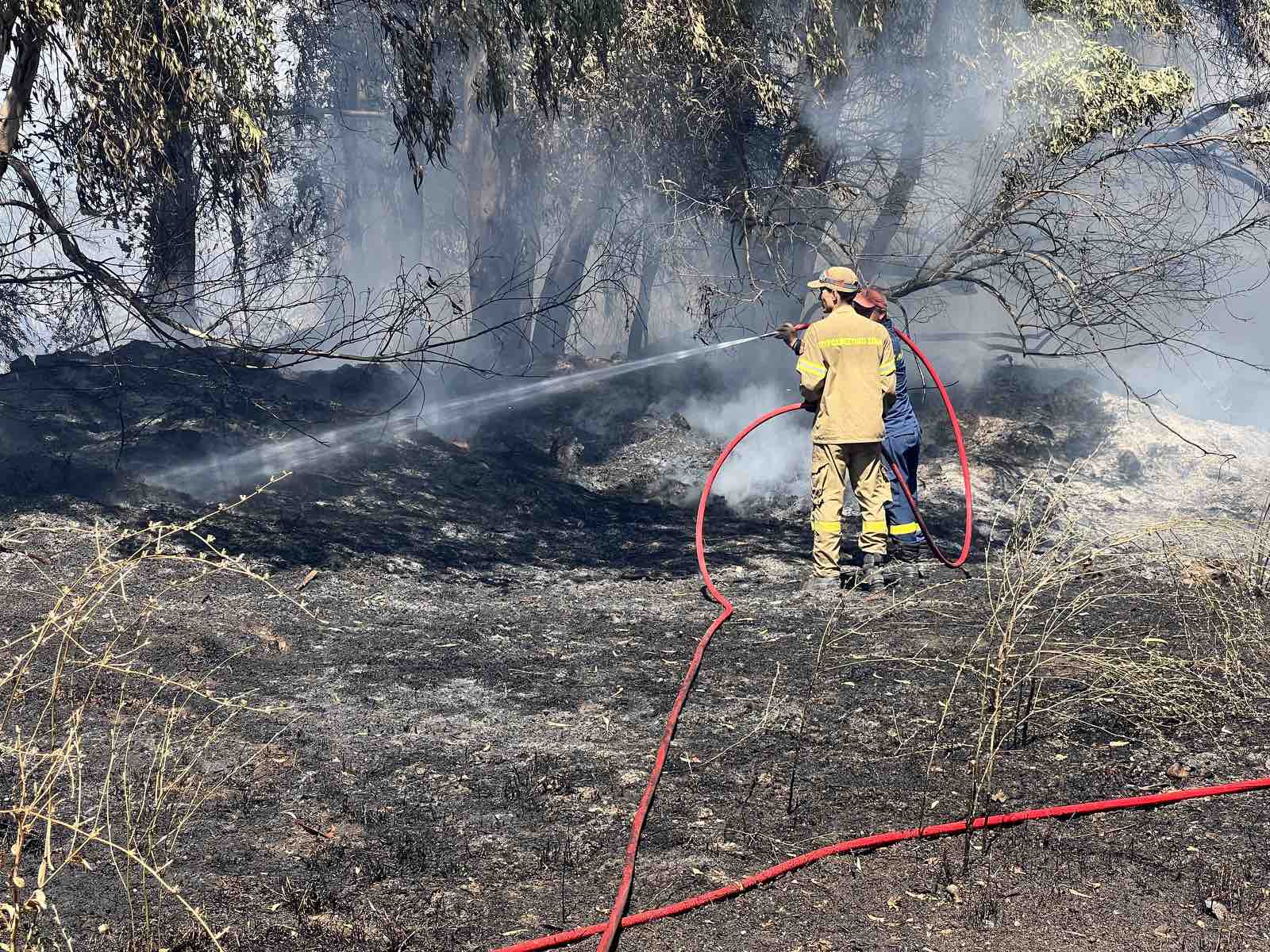 Κυλλήνη: Έφαγε πρόστιμο 1294 ευρώ επειδή άναψε φωτιά χωρίς  μέτρα πυρασφάλειας