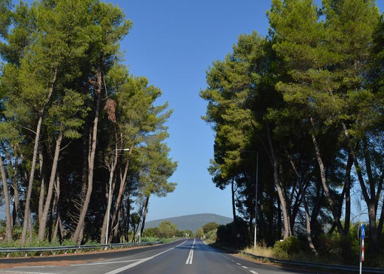 Nέα σενάρια για το Πύργος – Τσακώνα...