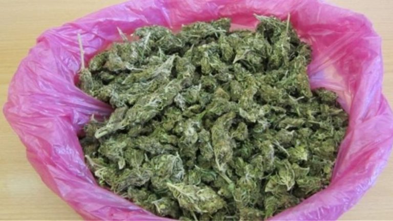 Aμαλιάδα: Συνελήφθη με 85gr χασίς