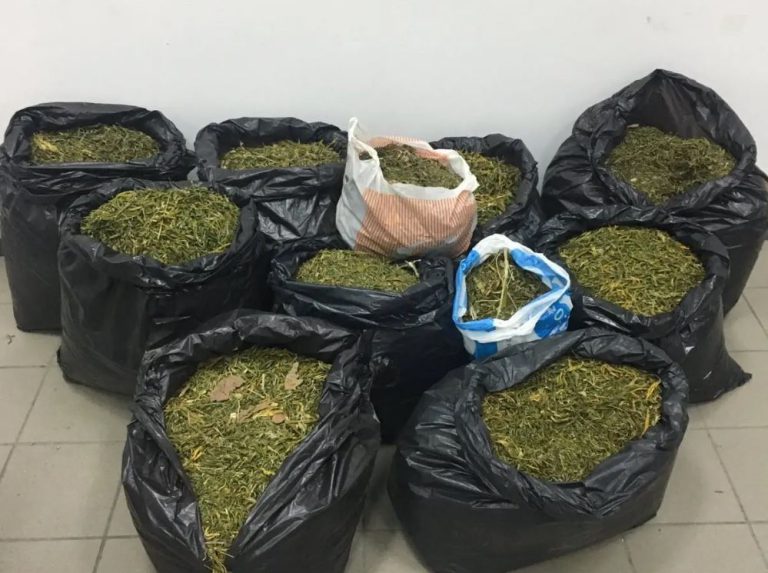 Αρκαδία: Διακινούσαν χασίς με... ταξί! - Πάνω από 600.000 ευρώ τα κέρδη