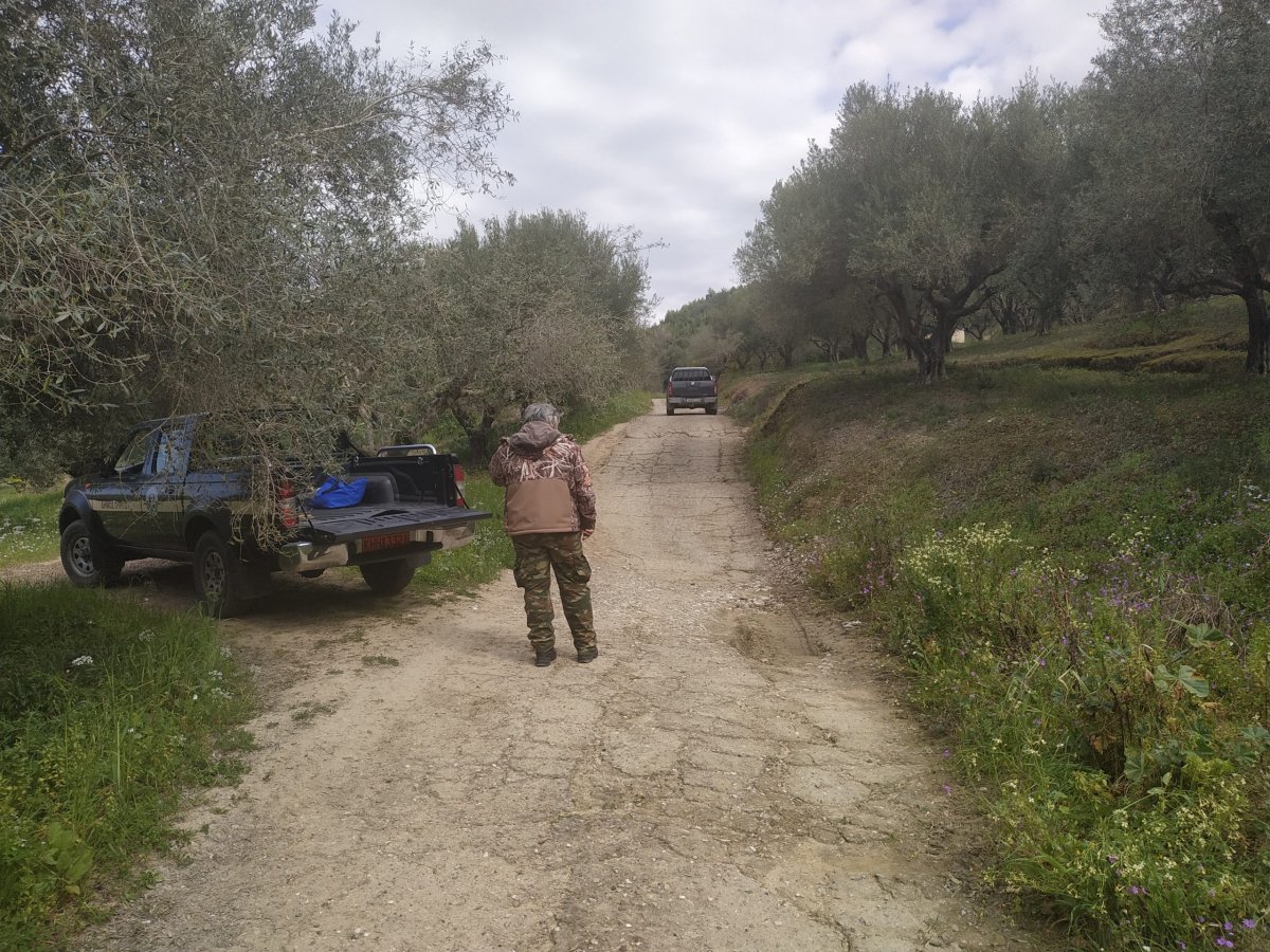 Δήμος Πύργου: Εγκρίθηκε η χρηματοδότηση για έργα αγροτικής οδοποιίας 2