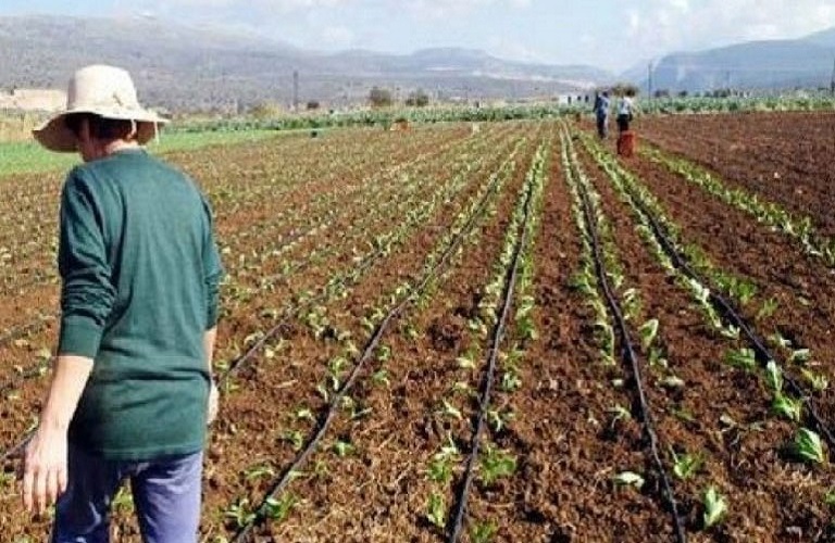 «Κόκκινα» αγροτικά δάνεια 3