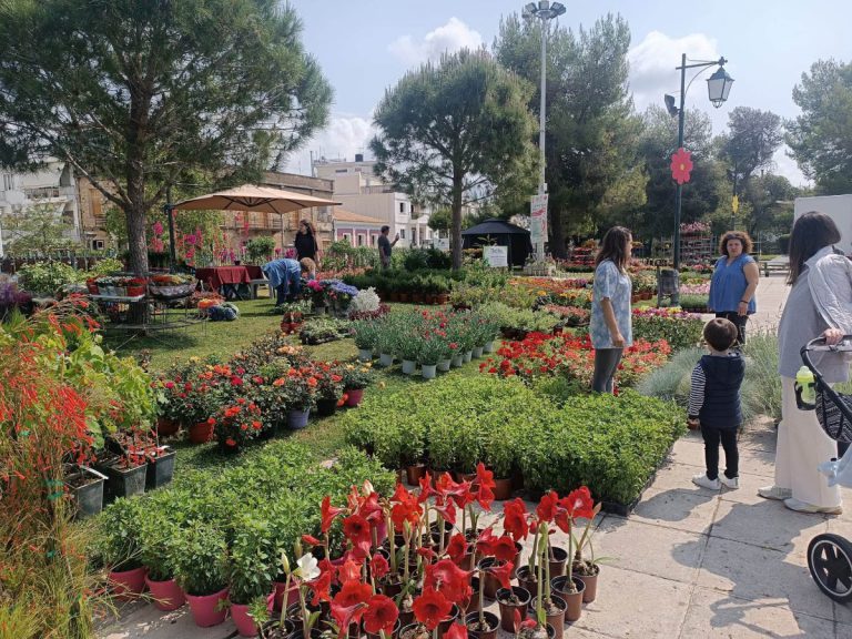 Πύργος: Απόψε (Παρασκευή 12/5) στις 8μμ τα εγκαίνια της Ανθοκομικής Έκθεσης στο Επαρχείο