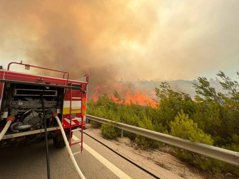 Σχέδιο AntiNero II: Η Ελλάδα καίγεται και τα Δασαρχεία Πύργου και Αμαλιάδας είναι... "στο περίμενε" για δασοτεχνικές εργασίες