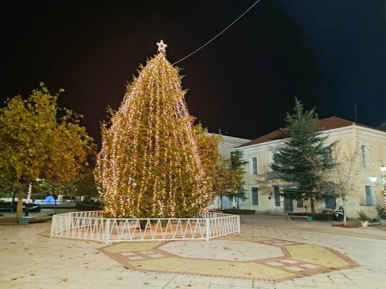 Πύργος: Φωταγωγήθηκε το Χριστουγεννιάτικο δέντρο στην κεντρική πλατεία - Την Τετάρτη (14/12) το επίσημο event