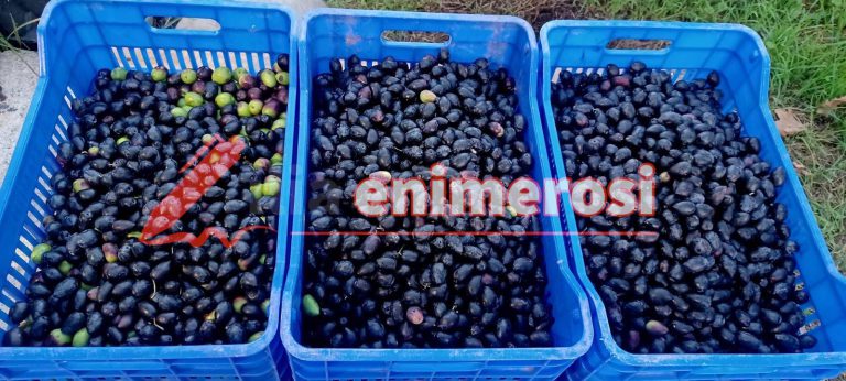 Ηλεία: Έκλεψαν 1