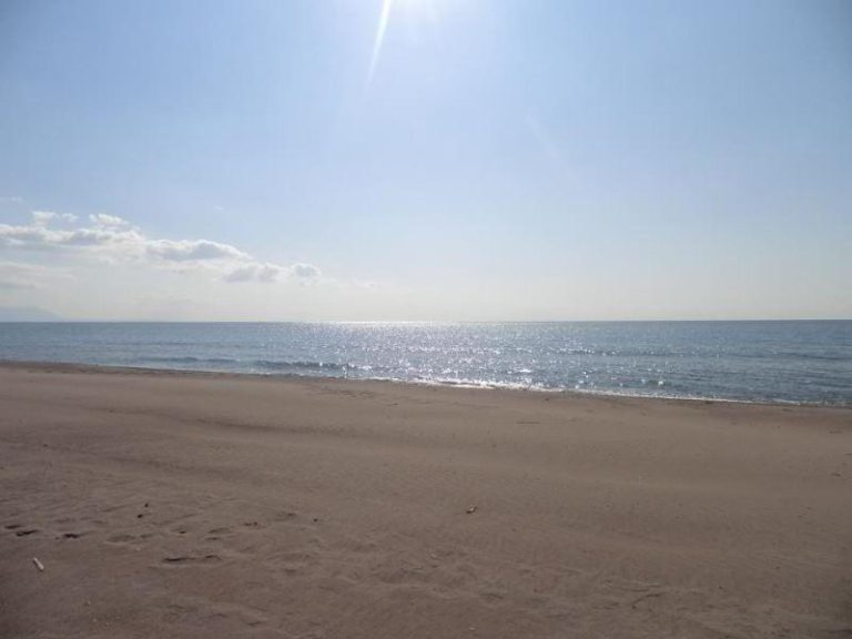 ΚΕΘΕΑ ΚΥΤΤΑΡΟ – ΟΞΥΓΟΝΟ: Καθαρισμός παραλίας Επιταλίου