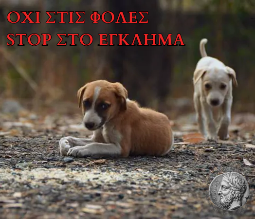 Δήμος Aρχαίας Ολυμπίας: Διενέργεια τοξικολογικών εξετάσεων μετά από περιστατικά δηλητηρίασης ζώων στο Πελόπιο