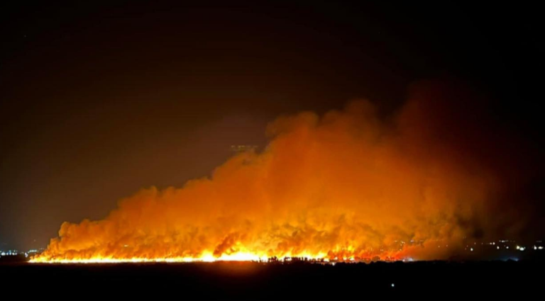 OIΚΙΠΑ: Να παταχθούν αποτελεσματικά οι ετήσιοι εμπρησμοί των καλαμιώνων της Στροφυλιάς!