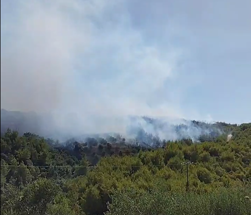Ηλεία: Οι φωτιές έσβησαν