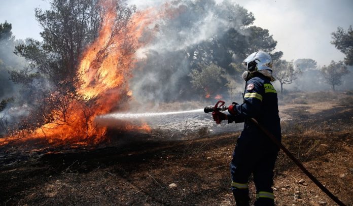 Πύργoς: Σημαντική ημερίδα για την πρόληψη και την αντιμετώπιση των πυρκαγιών