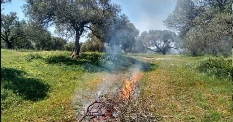 Δήμος Πύργου: Απαγόρευση καύσης στην ύπαιθρο λόγω ισχυρών ανέμων και υψηλών θερμοκρασιών