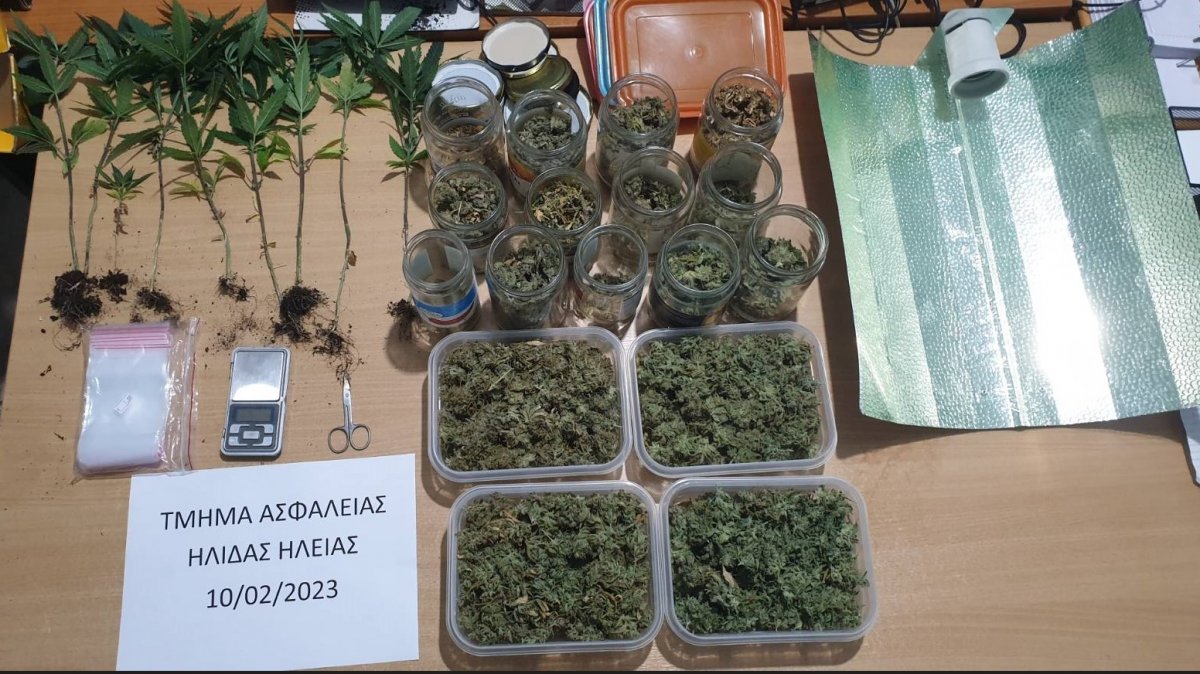 Γαστούνη: Συνελήφθη για κατοχή (456 γραμ.) και καλλιέργεια (9 γλάστρες) κάνναβης