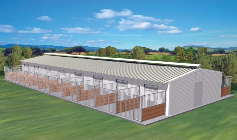 Δήμος Πηνειού: Ο πρώτος Δήμος στη Β. Ηλεία που αποκτά καταφύγιο αδέσποτων ζώων συντροφιάς