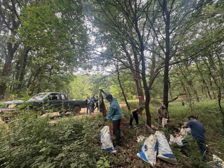 Φολόη: Eθελοντές ένωσαν δυνάμεις και μάζεψαν τα απορρίμματα στο δρυοδάσος (pics)