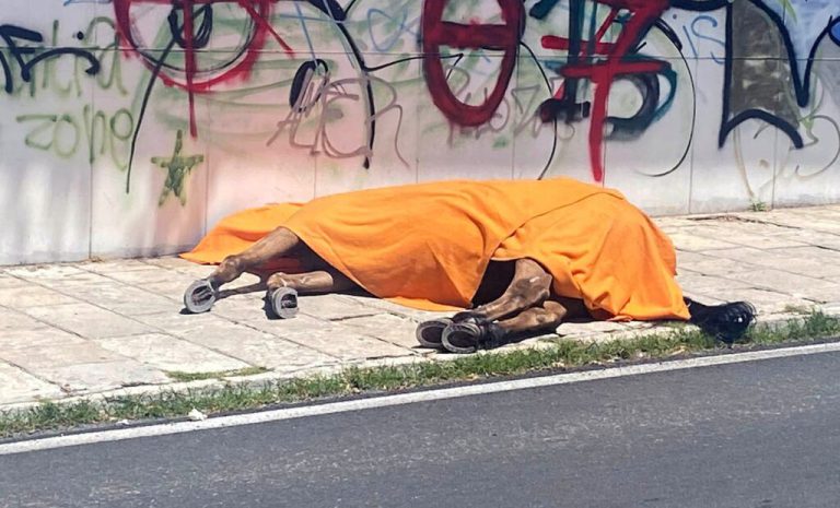 Κέρκυρα: Συνελήφθη ο ιδιοκτήτης του νεκρού αλόγου – Επιβλήθηκε πρόστιμο 30.000 ευρώ