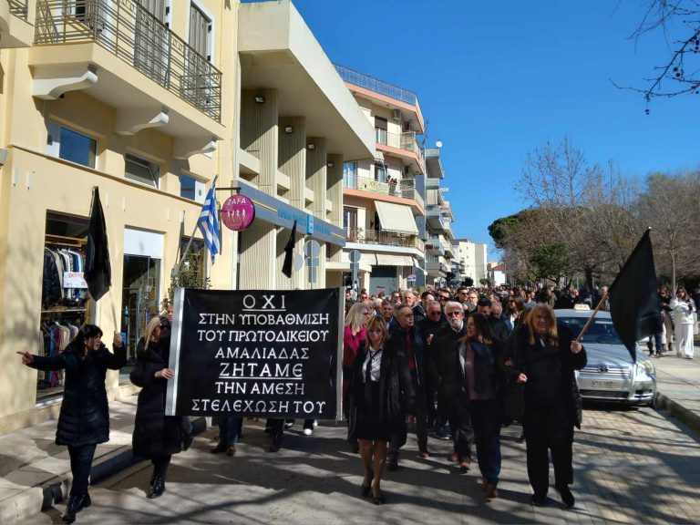 Αμαλιάδα: Δυναμικό “παρών” από τους δημότες στην κινητοποίηση για το Πρωτοδικείο - "Θα συνεχίσουμε τις αντιδράσεις" τόνισε ο Χρ. Χριστοδουλόπουλος (pics)