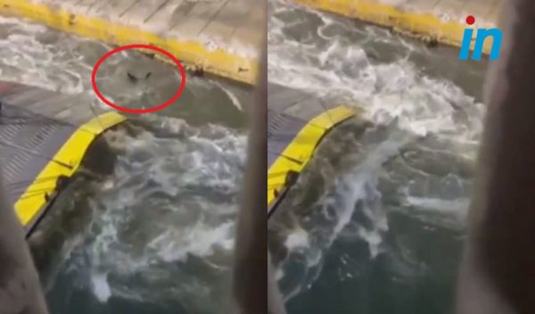 Τραγωδία στον Πειραιά: Παραιτήθηκε ο διευθύνων σύμβουλος της Attica Group