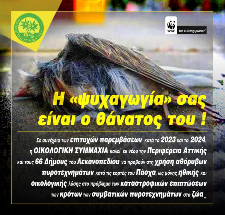 Oικολογική Συμμαχία: Όχι στα συμβατικά πυροτεχνήματα!