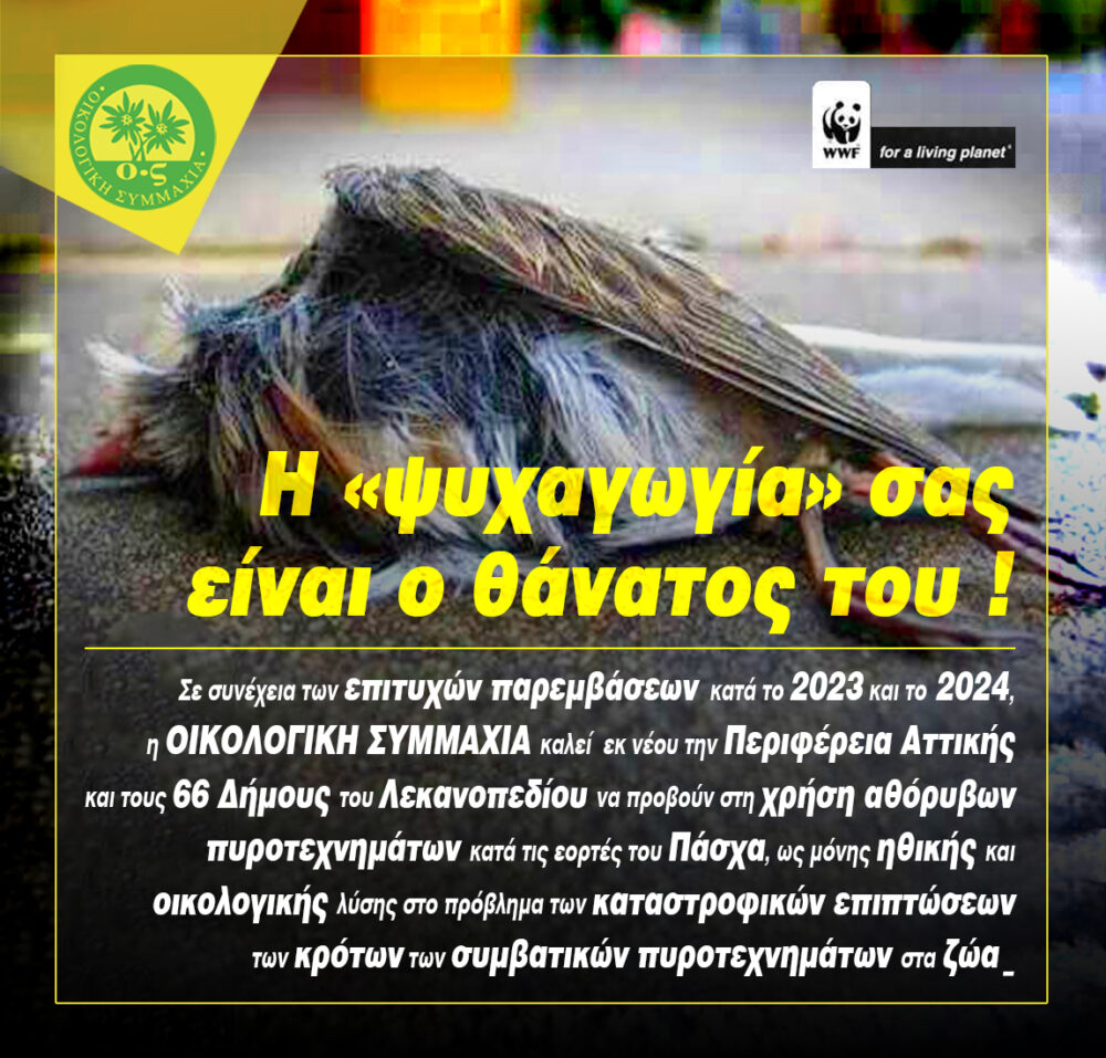 Oικολογική Συμμαχία: Όχι στα συμβατικά πυροτεχνήματα!