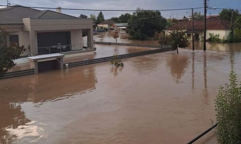 ΕΑΕΕ: Μόλις το 15