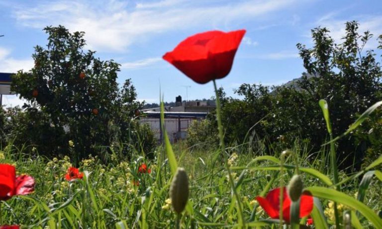 Hλεία: Τι καιρό θα κάνει την Πρωτομαγιά και τις επόμενες ημέρες