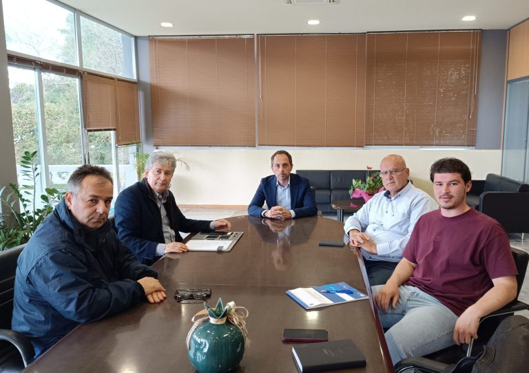 Άμεση λήψη μέτρων για τη διάσωση των πλατάνων στην Aρχαία Oλυμπία