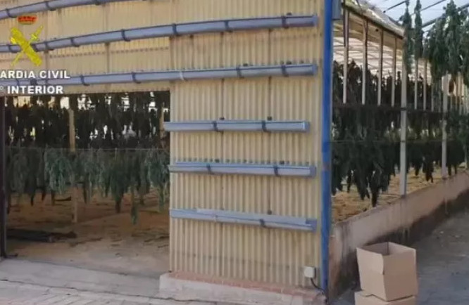 Ισπανία: Κατάσχεση της μεγαλύτερης ποσότητας μαριχουάνας παγκοσμίως