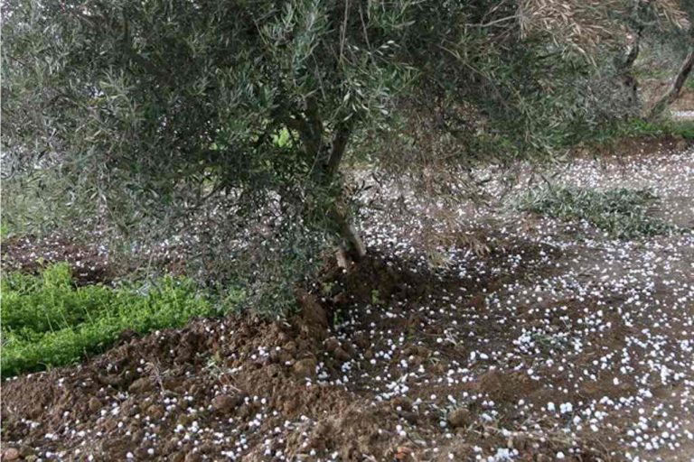 Μάρτης