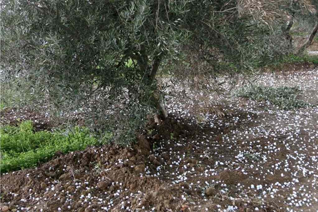 Μάρτης